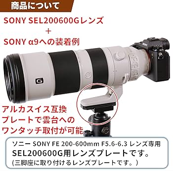 SONY SEL200600G CPLフィルター付き Amazon.co.jp: SONY(ソニー) 【セット買い】ソニー デジタル一眼